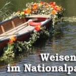 Weisenblasen 2011 im Nationalpark Thayatal