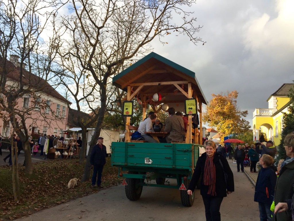 Mit Obermarkersdorf im Kürbis-Fieber