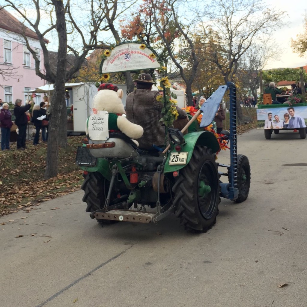 Mit Obermarkersdorf im Kürbis-Fieber