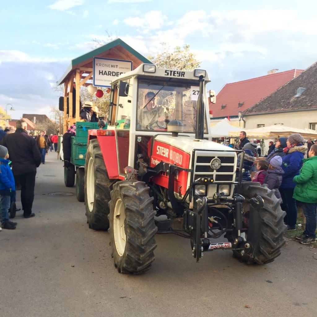 Mit Obermarkersdorf im Kürbis-Fieber